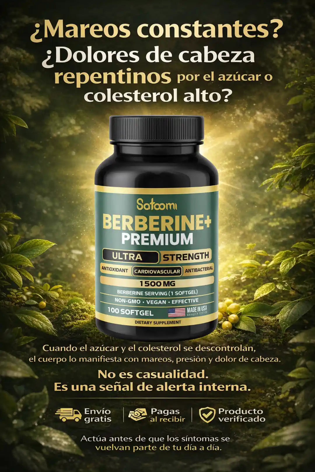 Berberina 1500 – Azúcar, Energía y Metabolismo en Equilibrio